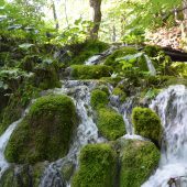  Plitvice Lakes National Park